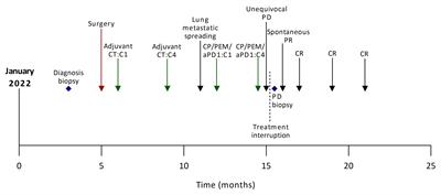 Case report: Immune response characterization of a pseudoprogression in a PD-L1-negative, TMB-low, KEAP1/STK11 co-mutated metastatic NSCLC